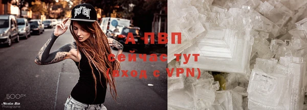 твердый Волоколамск