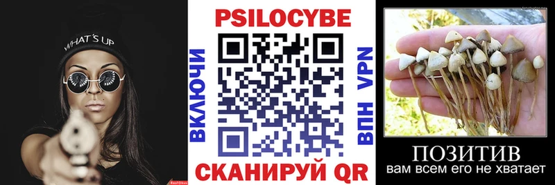 Галлюциногенные грибы прущие грибы  Нижневартовск 
